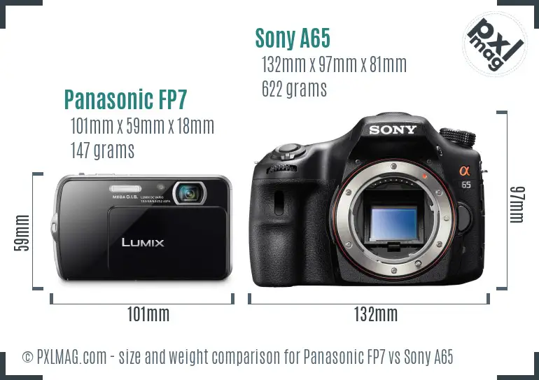 Panasonic FP7 vs Sony A65 size comparison