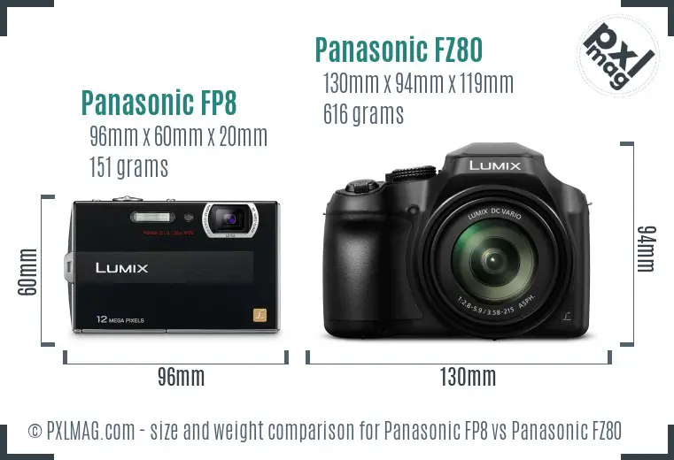 Panasonic FP8 vs Panasonic FZ80 size comparison