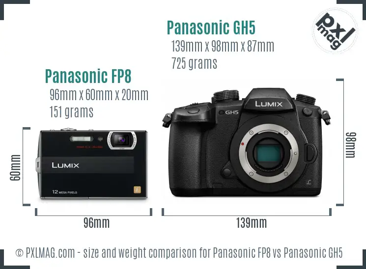 Panasonic FP8 vs Panasonic GH5 size comparison