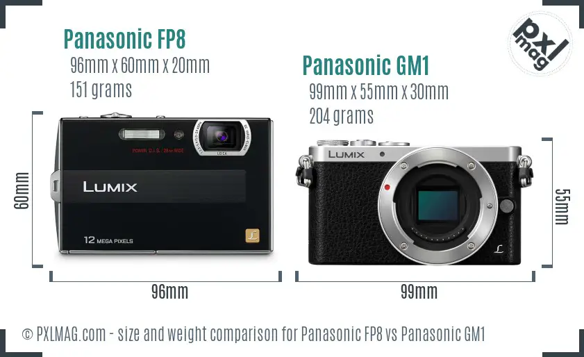 Panasonic FP8 vs Panasonic GM1 size comparison