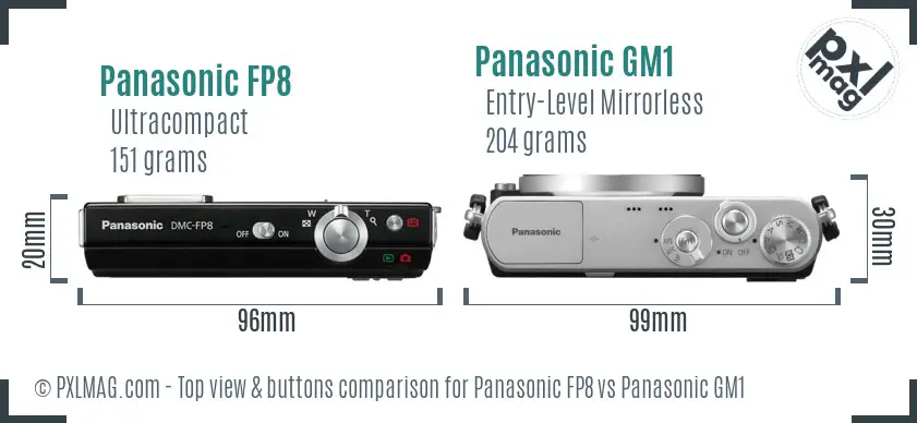 Panasonic FP8 vs Panasonic GM1 top view buttons comparison