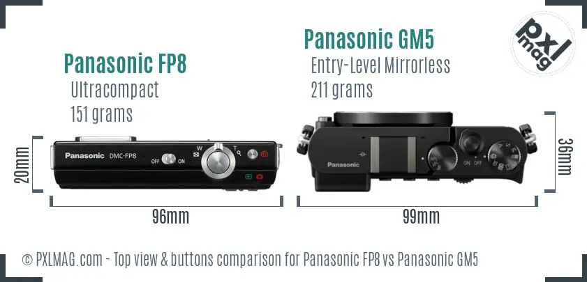 Panasonic FP8 vs Panasonic GM5 top view buttons comparison