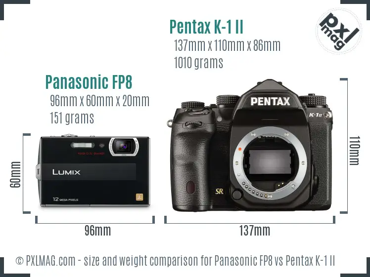 Panasonic FP8 vs Pentax K-1 II size comparison