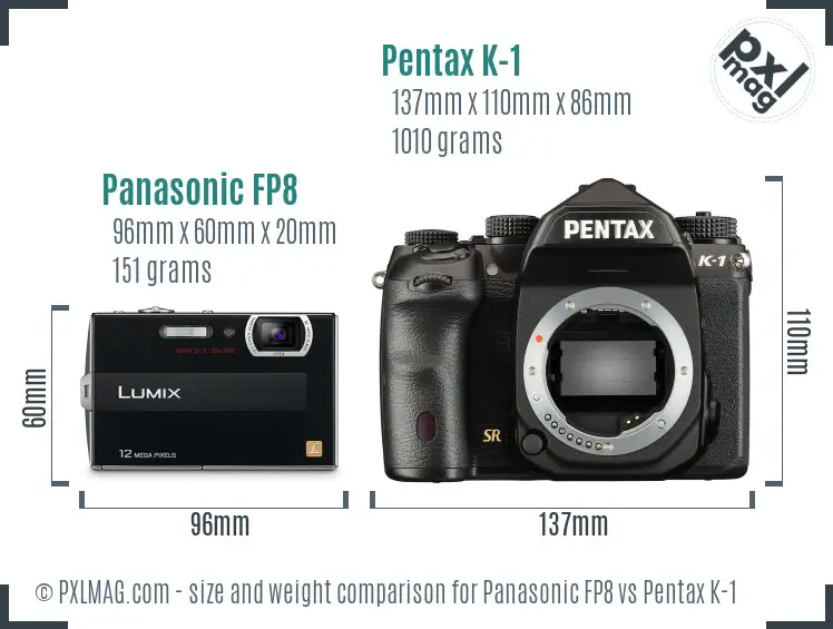Panasonic FP8 vs Pentax K-1 size comparison