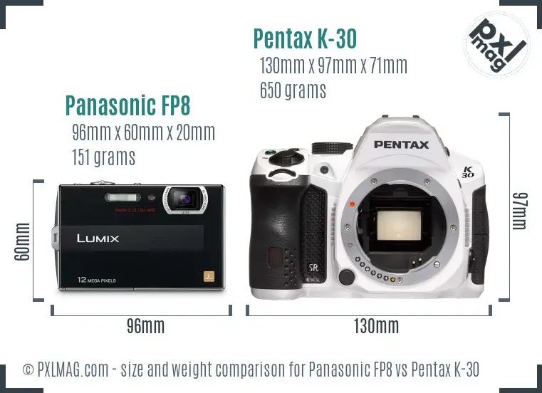Panasonic FP8 vs Pentax K-30 size comparison