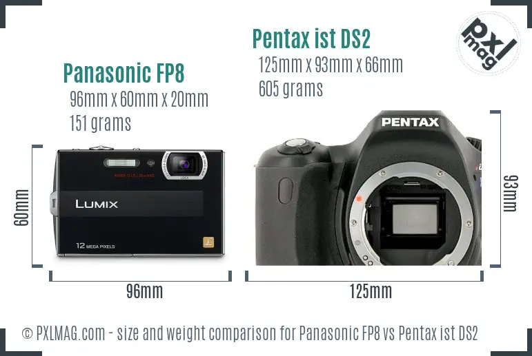 Panasonic FP8 vs Pentax ist DS2 size comparison