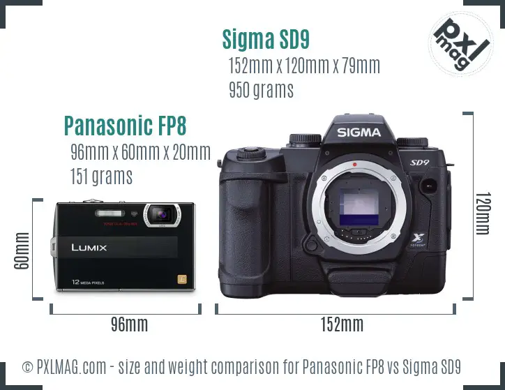 Panasonic FP8 vs Sigma SD9 size comparison