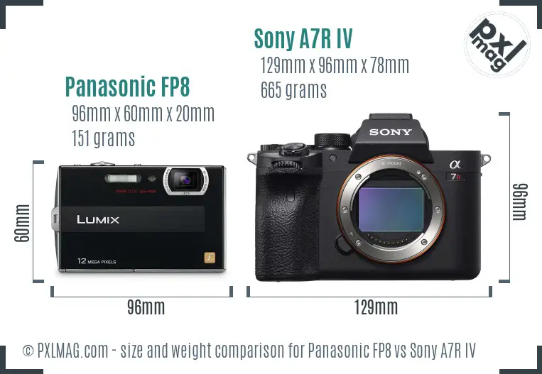 Panasonic FP8 vs Sony A7R IV size comparison