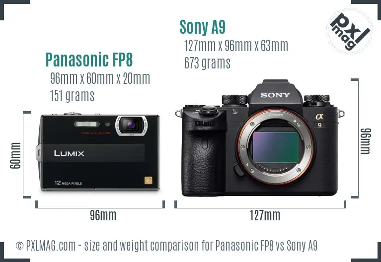 Panasonic FP8 vs Sony A9 size comparison
