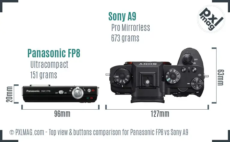 Panasonic FP8 vs Sony A9 top view buttons comparison