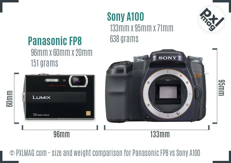 Panasonic FP8 vs Sony A100 size comparison