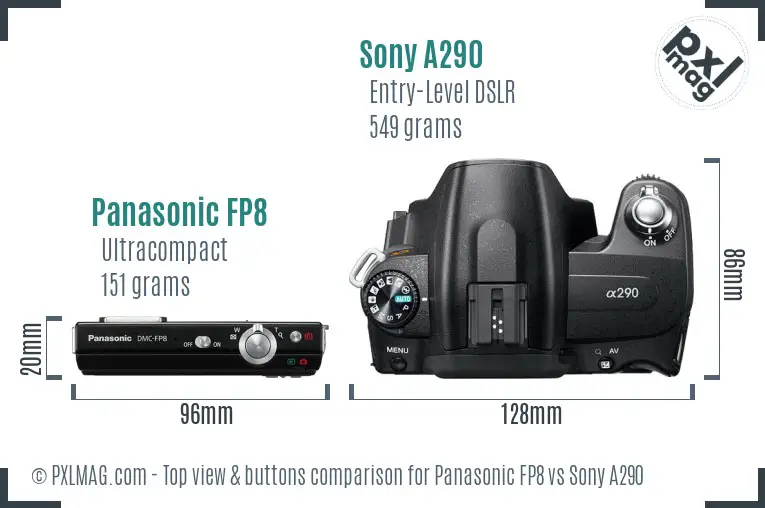 Panasonic FP8 vs Sony A290 top view buttons comparison