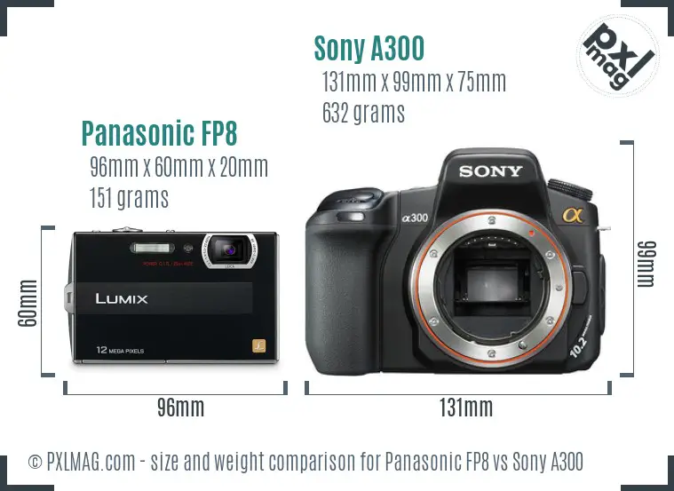 Panasonic FP8 vs Sony A300 size comparison