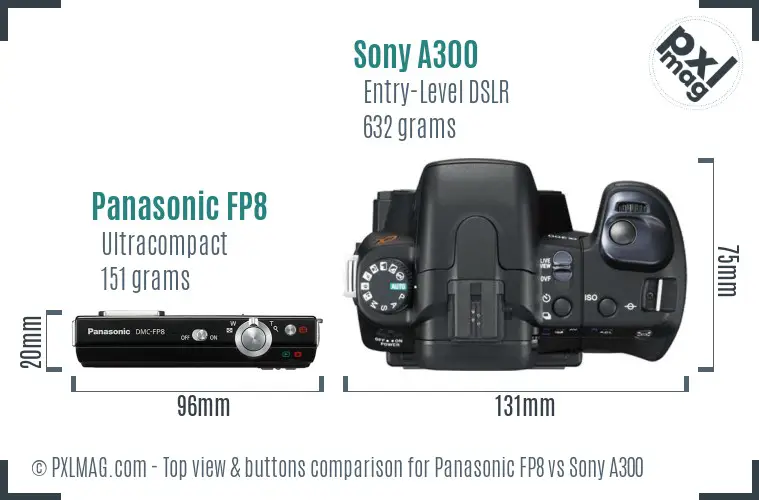 Panasonic FP8 vs Sony A300 top view buttons comparison
