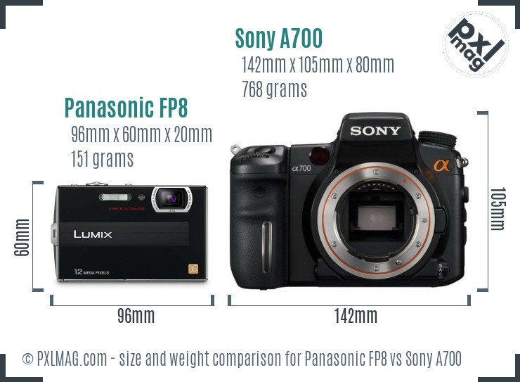 Panasonic FP8 vs Sony A700 size comparison