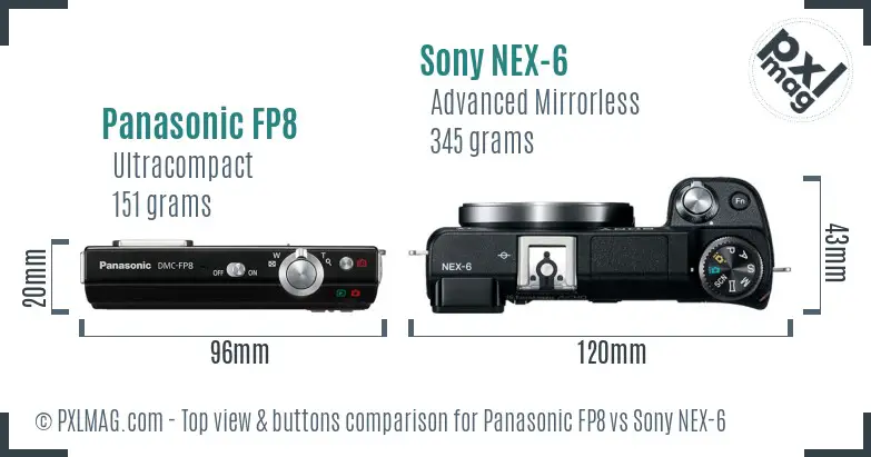 Panasonic FP8 vs Sony NEX-6 top view buttons comparison