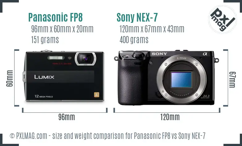 Panasonic FP8 vs Sony NEX-7 size comparison