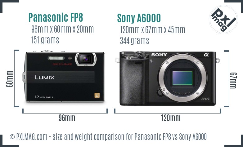 Panasonic FP8 vs Sony A6000 size comparison Panasonic FP8 vs Sony A6000 size comparison