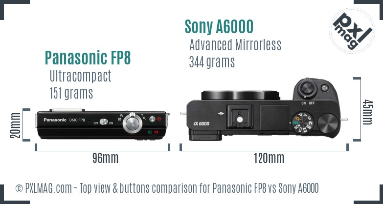 Panasonic FP8 vs Sony A6000 top view buttons comparison