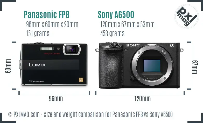 Panasonic FP8 vs Sony A6500 size comparison