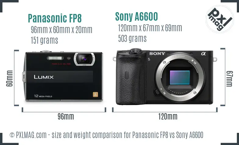 Panasonic FP8 vs Sony A6600 size comparison