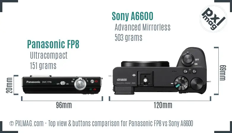 Panasonic FP8 vs Sony A6600 top view buttons comparison