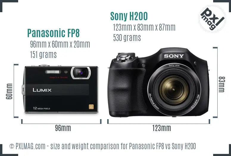 Panasonic FP8 vs Sony H200 size comparison