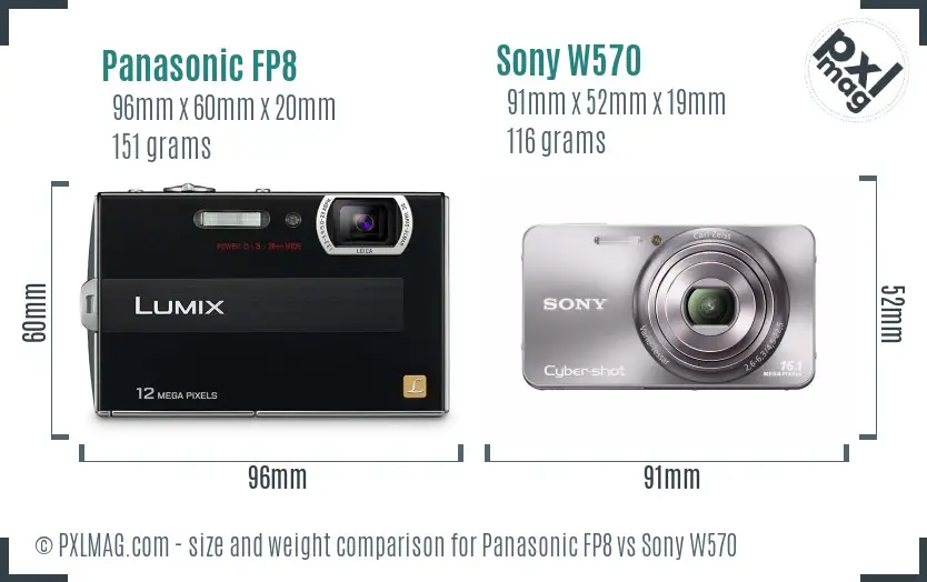 Panasonic FP8 vs Sony W570 size comparison