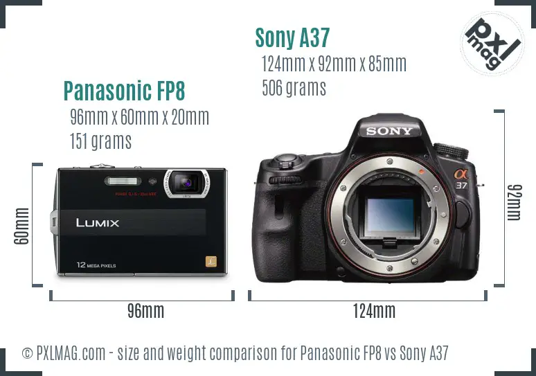 Panasonic FP8 vs Sony A37 size comparison