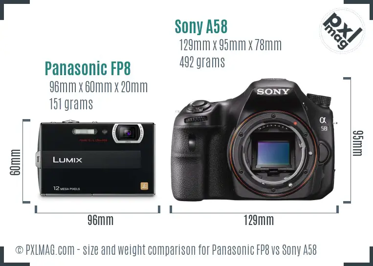 Panasonic FP8 vs Sony A58 size comparison