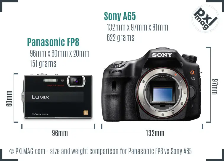 Panasonic FP8 vs Sony A65 size comparison