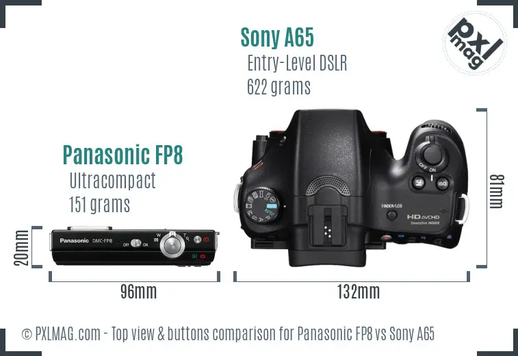 Panasonic FP8 vs Sony A65 top view buttons comparison
