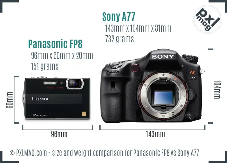 Panasonic FP8 vs Sony A77 size comparison