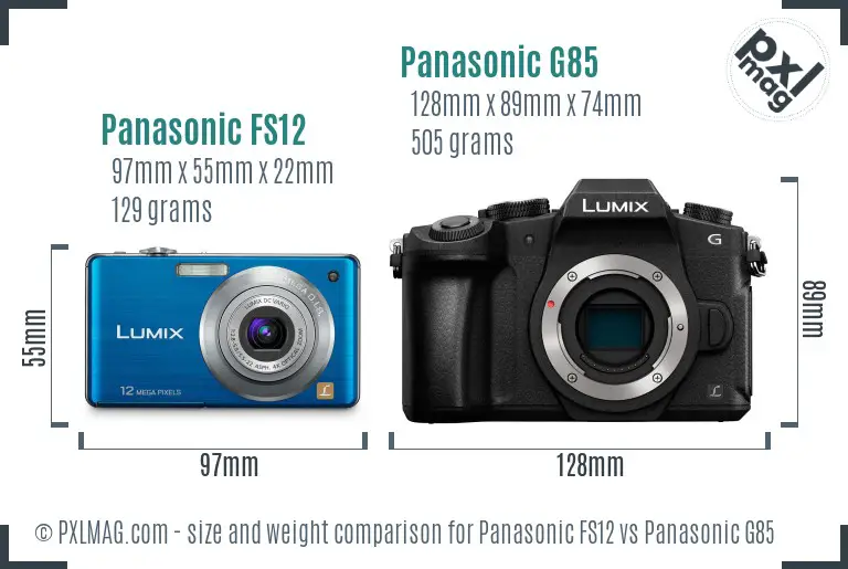 Panasonic FS12 vs Panasonic G85 size comparison