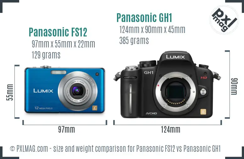 Panasonic FS12 vs Panasonic GH1 size comparison