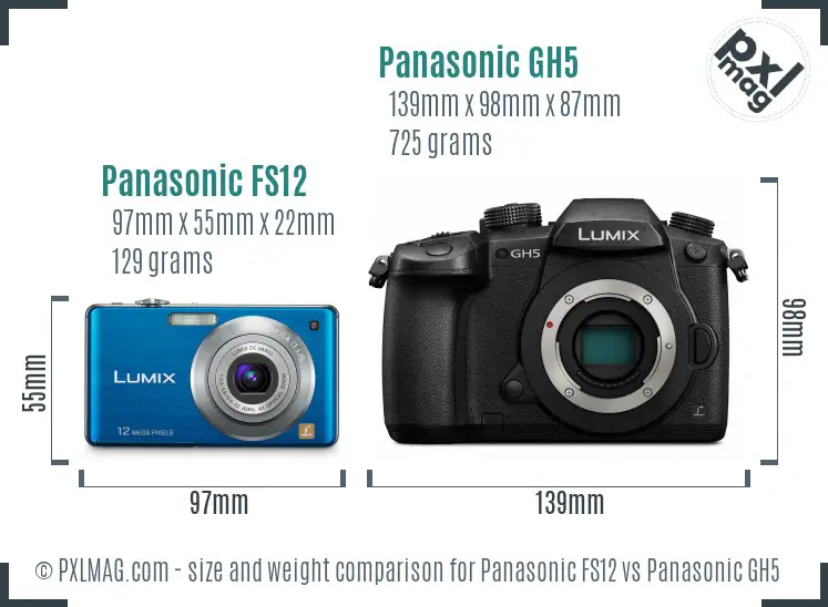 Panasonic FS12 vs Panasonic GH5 size comparison