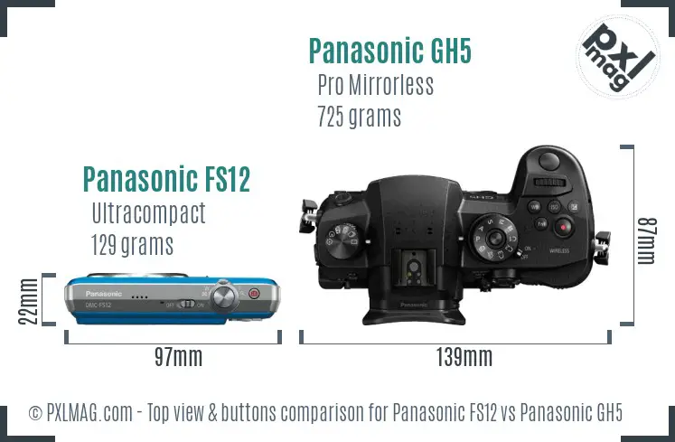 Panasonic FS12 vs Panasonic GH5 top view buttons comparison