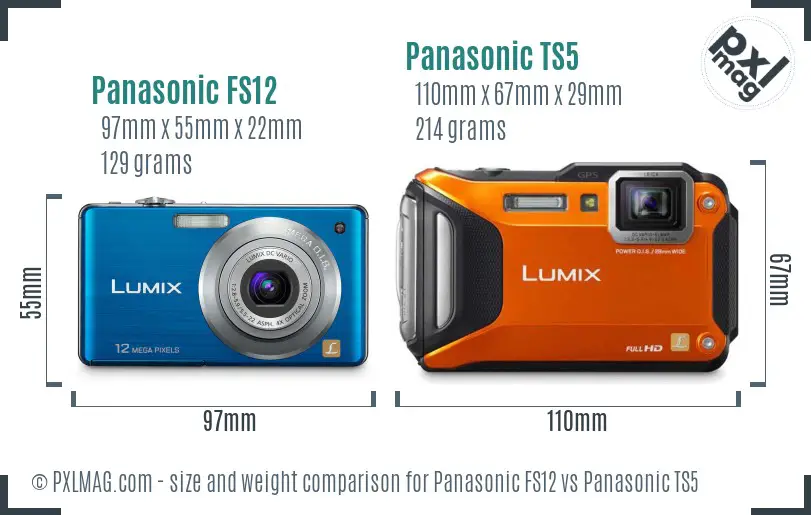 Panasonic FS12 vs Panasonic TS5 size comparison