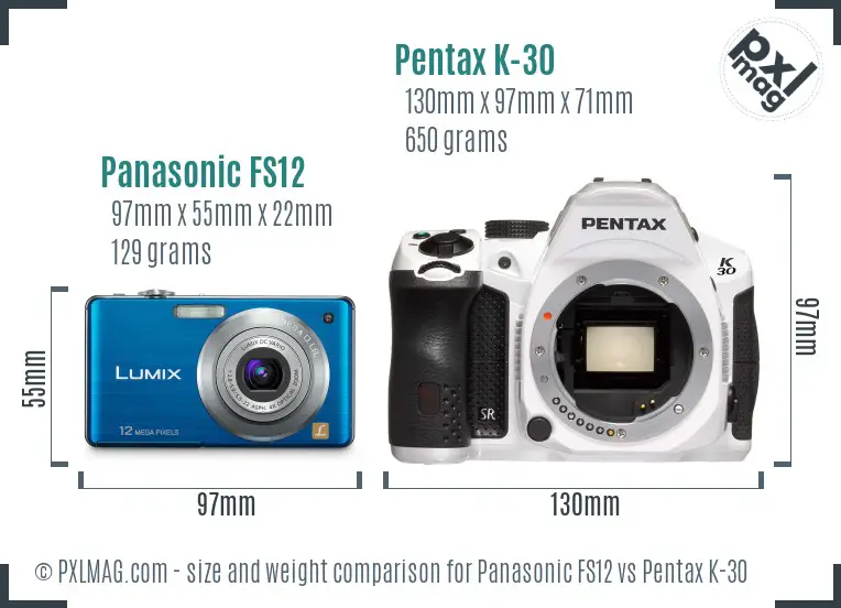 Panasonic FS12 vs Pentax K-30 size comparison