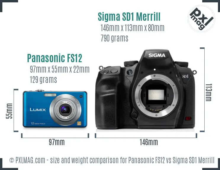 Panasonic FS12 vs Sigma SD1 Merrill size comparison