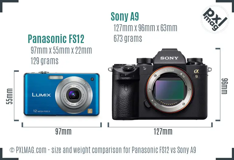 Panasonic FS12 vs Sony A9 size comparison