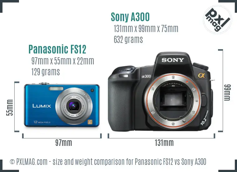 Panasonic FS12 vs Sony A300 size comparison