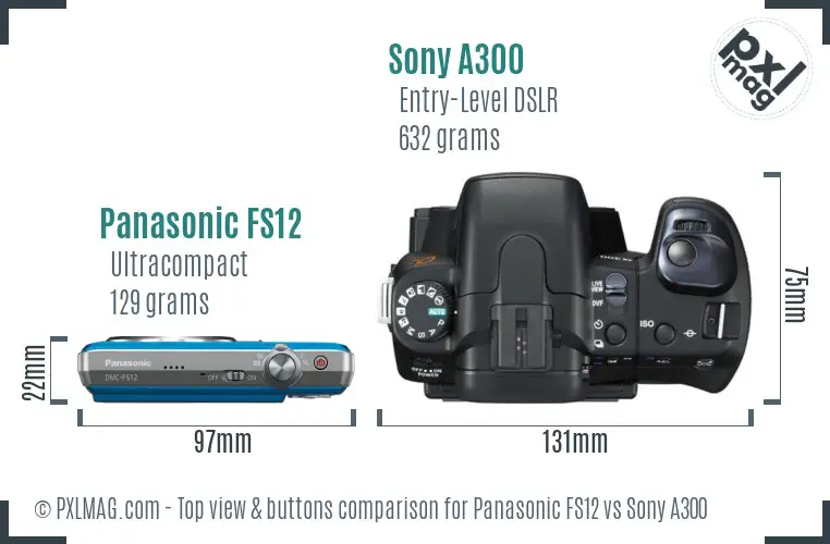 Panasonic FS12 vs Sony A300 top view buttons comparison