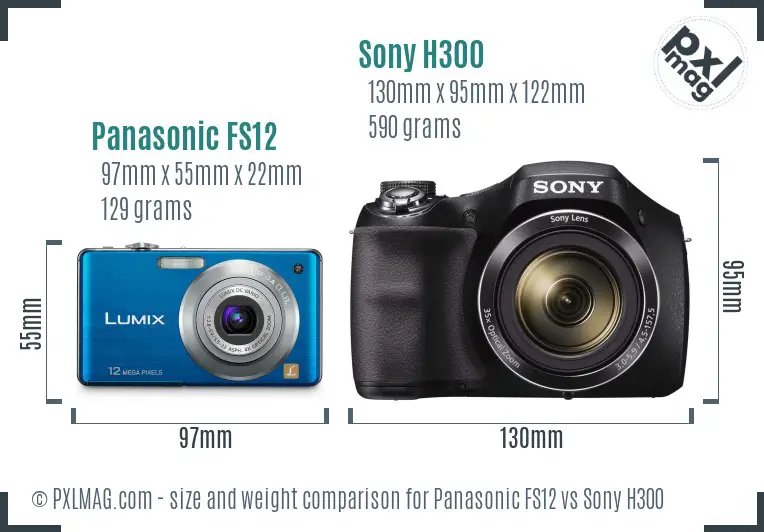 Panasonic FS12 vs Sony H300 size comparison