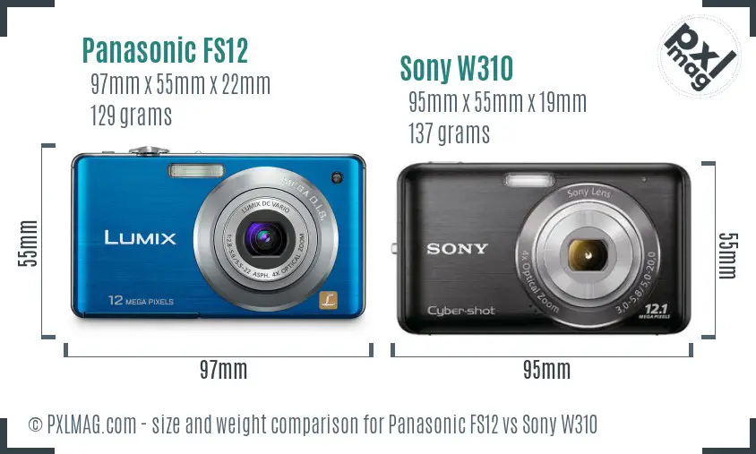 Panasonic FS12 vs Sony W310 size comparison