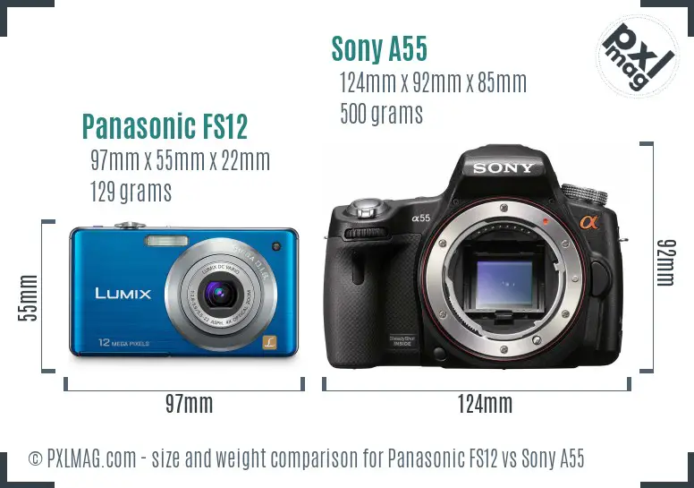 Panasonic FS12 vs Sony A55 size comparison