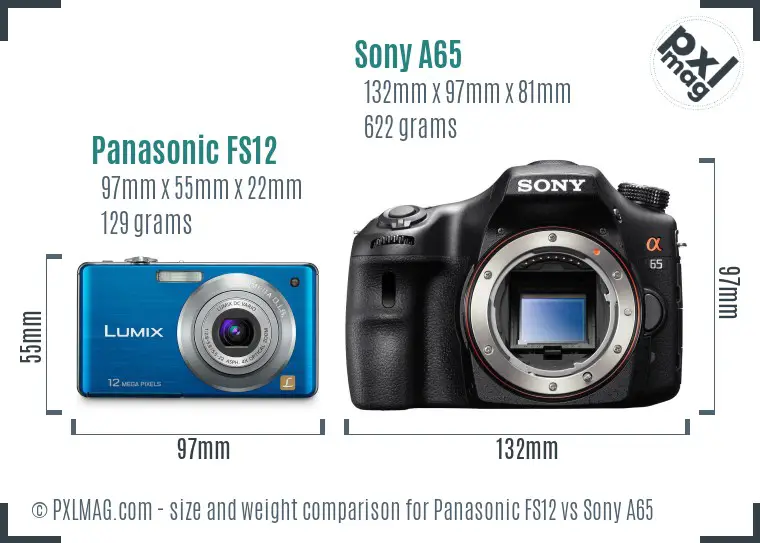 Panasonic FS12 vs Sony A65 size comparison