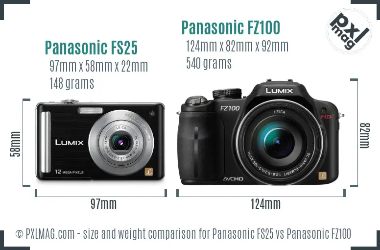 Panasonic FS25 vs Panasonic FZ100 size comparison