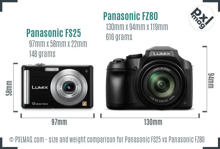 Panasonic FS25 vs Panasonic FZ80 size comparison