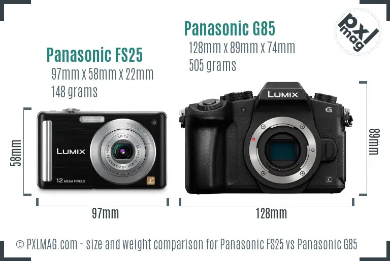 Panasonic FS25 vs Panasonic G85 size comparison